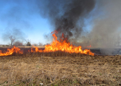 land stewardship